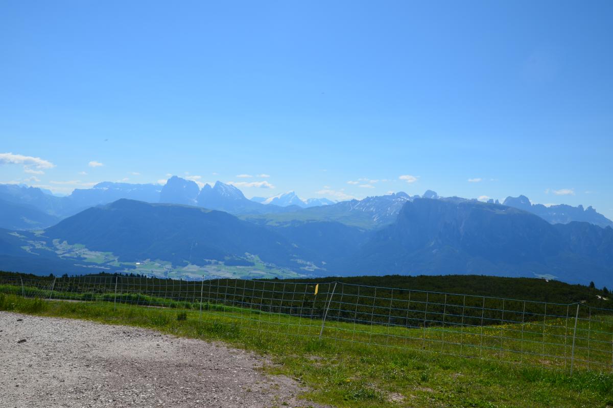 Latschenbrennerei & Platzer Alm 23.06.2020